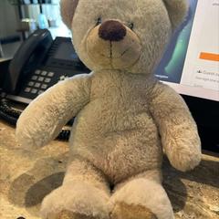 Knuffel, as reported by Van der Valk Spier-Dwingeloo using iLost