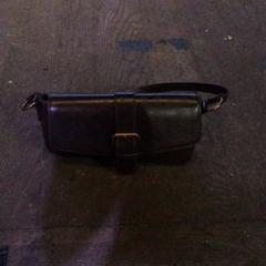 Táska Bruin, amint azt De Heeren van Aemstel az iLost segítségével jelentette.