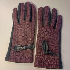 Guants Rood/ zwart met strikjes, segons ha informat Heidelberglaan 7 mitjançant iLost