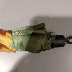 Esernyő, amint azt Regio Limburg - Leuven az iLost segítségével jelentette.