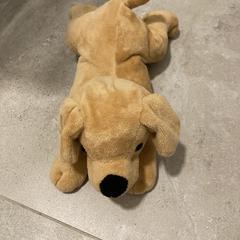 Knuffel, gerapporteerd met iLost