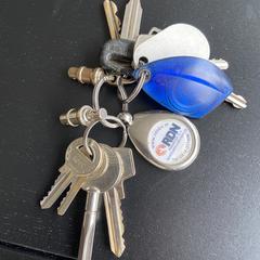 Sleutelbos, iLost-i jakinarazi zaion moduan