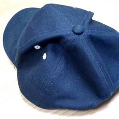 Kappe, gemeldet von Connexxion Haarlem AML über iLost