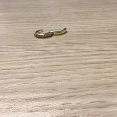 Earring, as reported by Gemeente Arnhem using iLost