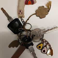 Sleutelbos, ha sido reportado por Gemeente Hilversum con iLost