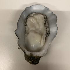 Brinquedo, como reportado por IKEA長久手 utilizando o iLost