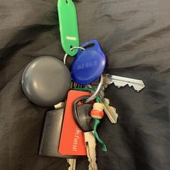 Sleutelbos, ha sido reportado a iLost