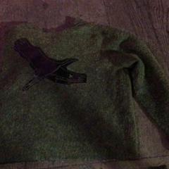 Jersei Groen, segons ha informat De Heeren van Aemstel mitjançant iLost