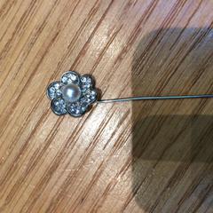 Haarpin bloem, segundo informou Rijksmuseum van Oudheden usando iLost