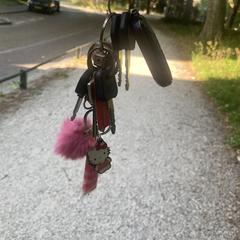 Sleutelbos, come riportato a iLost