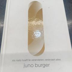 Llibre, segons ha informat Rotterdam The Hague Airport mitjançant iLost