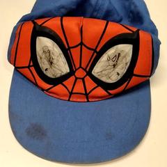 Kšiltovka, jak nahlášeno Gemeente Puurs-Sint-Amands pomocí iLost