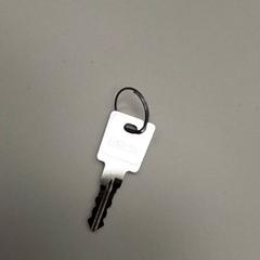 Kľúč, ako bolo nahlásené ilévia pomocou iLost