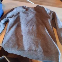Sweater Grijze trui, as reported by Familiepark Drievliet using iLost