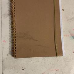 Caderno Bruin, segundo informou Artis usando iLost