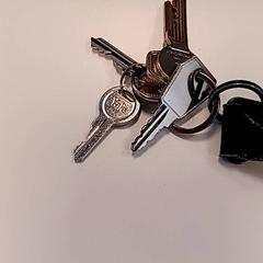 İLost kullanarak Syntus Provincie Utrecht tarafından bildirildiği gibi Anahtarlar