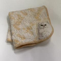 Kapesník, jak nahlášeno IKEA鶴浜 pomocí iLost