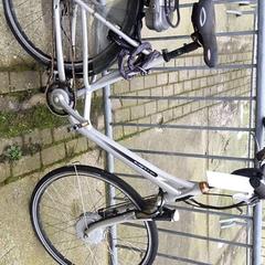 Bicicleta femenina Batavus, segons ha informat Stadswerk072 mitjançant iLost