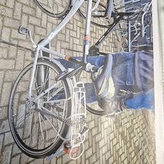 Herenfiets がiLostで Gemeente Roermond によって報告されました
