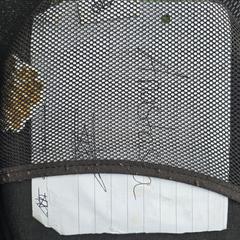 WH-1000XM4, amint azt az iLostnak jelentették.