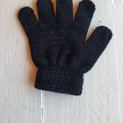 Guante Zwart, glitter, ha sido reportado por DierenPark Amersfoort con iLost