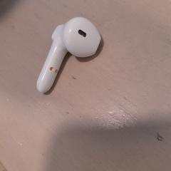 Earpods, rapporterat av Hortus Botanicus Amsterdam med iLost