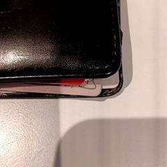 Pasjeshouder, as reported by De Efteling using iLost