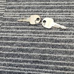 Llave, ha sido reportado por Pathé Delft con iLost