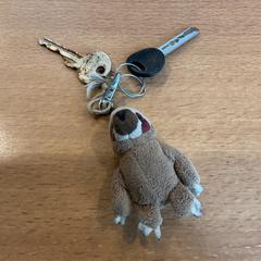 鍵 がiLostで Gemeente Amsterdam - Bureau Gevonden Voorwerpen によって報告されました