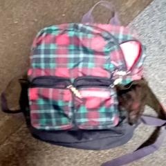 배낭 Rugzak, iLost를 사용하여 Mövenpick Hotel Amsterdam City Centre에 보고됨