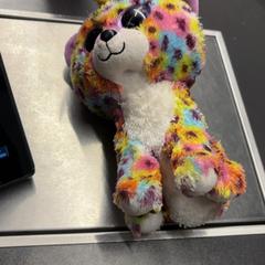 Knuffel Regenboog, as reported by Pathé Amsterdam Noord using iLost