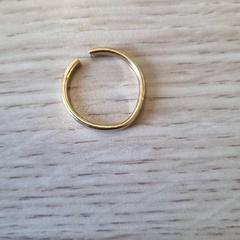 Dzwonić goudkleurig, zgłoszono przez Gemeente Renkum przy użyciu iLost