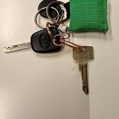 鍵 がiLostで Gemeente Hilversum によって報告されました