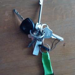 Sleutelbos, jak zgłoszono do iLost