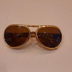 نظارات شمسية، كما تم الإبلاغ عنه بواسطة Van der Valk Hotel Schiphol عبر iLost