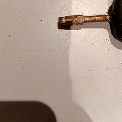 Nøkkel, som rapportert av De Efteling ved bruk av iLost