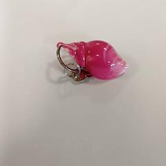 Sleutelhoes met sleutels cle, zoals gemeld door IKEA Strasbourg met iLost