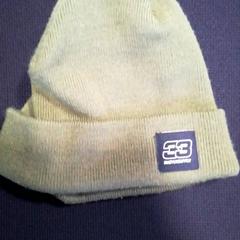 Muts, zoals gemeld door Burgers' Zoo met iLost