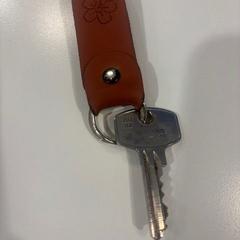 Llave Bruin label, ha sido reportado por Gemeente Meierijstad con iLost