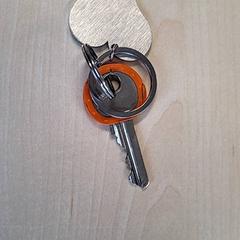 المفاتيح (متنوعة)، كما تم الإبلاغ عنه بواسطة Connexxion Haarlem IJmond عبر iLost