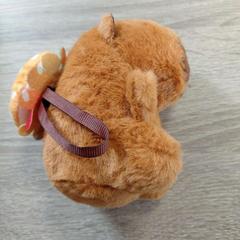 Knuffel Kapibara, gemeldet von EBS OV Poeldijk über iLost