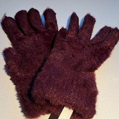 Guanti handschien, come riportato da Madurodam utilizzando iLost