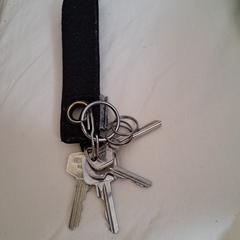 sleutelbos, iLost에 보고됨