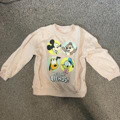 Dětský svetr Disney, jak nahlášeno Burgers' Zoo pomocí iLost