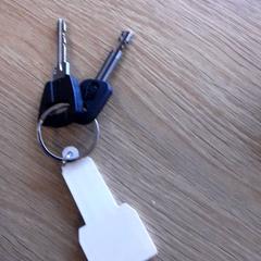 Gakoa Zwart, gisa salatu by LUMC iLost erabiliz