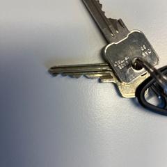 Sleutelbos, amint azt Gemeente Twenterand az iLost segítségével jelentette.