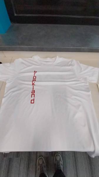 القميص shirt broekland
