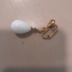 Oorbel, segundo informou Hortus Botanicus Amsterdam usando iLost