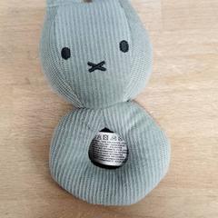 Rammelaar, ha sido reportado por IKEA Amersfoort con iLost