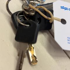 鍵 がiLostで GVB によって報告されました